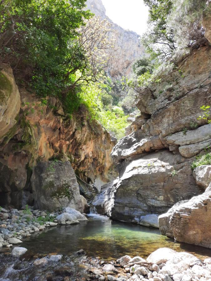 Aelia Βίλα Agios Vlasios  Εξωτερικό φωτογραφία